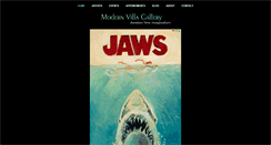 Desktop Screenshot of modernvillagallery.com